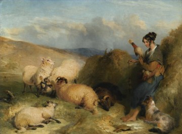 Chèvre Mouton Berger œuvres - bergère avec un chien